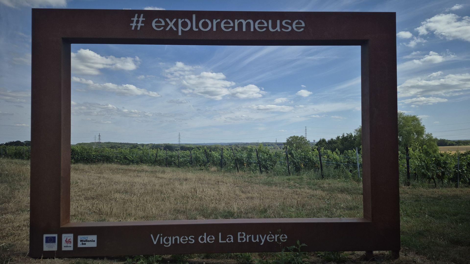 Paysages et vignobles de La Bruyère près de ZENEO